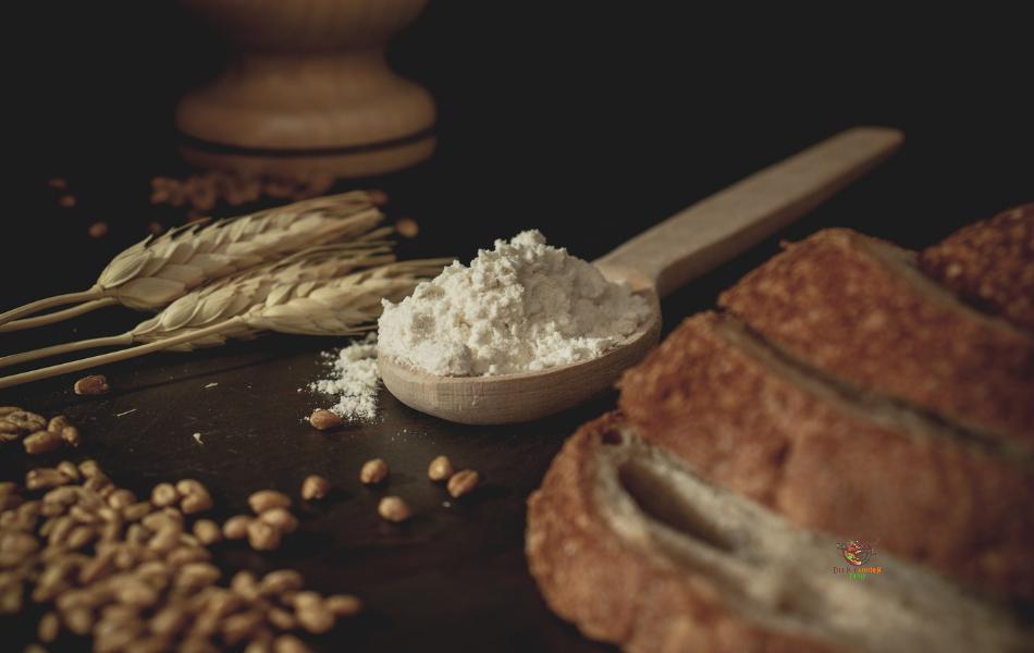 Wheat Flour - Substitutes for Gram Flour