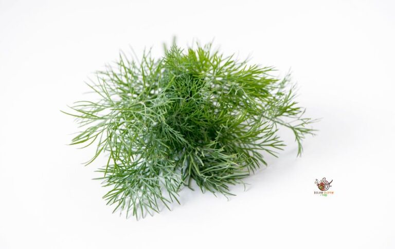 Best Substitutes for Dill: Simple Kitchen Solutions