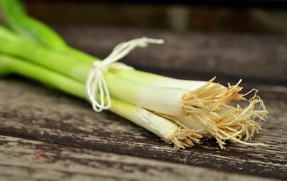 Spring Onion - Substitute for Onion Powder
