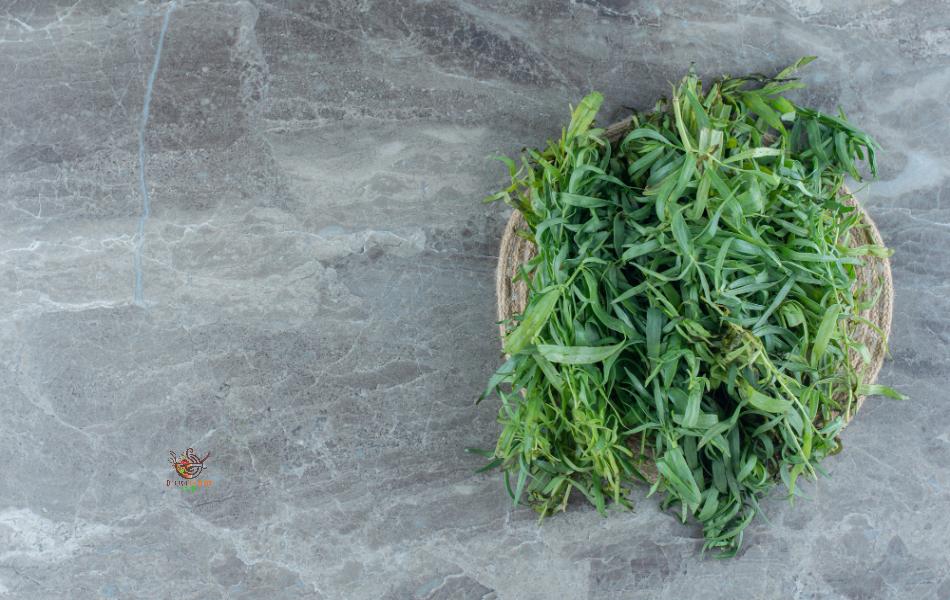 Tarragon - Substitute for Dill
