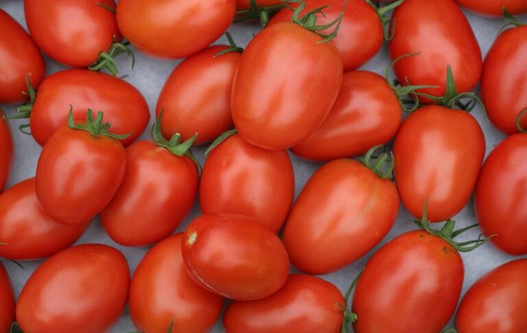 Substitutes for Roma Tomatoes