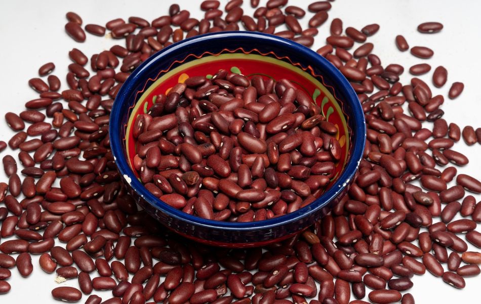 Kidney Bean Substitutes_ Delicious Alternatives