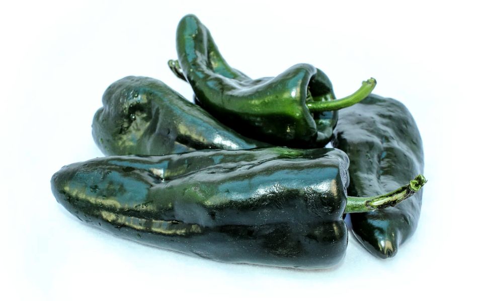 Poblano Peppers: A Versatile Alternative