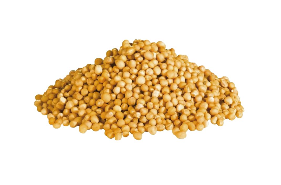 Yellow Mustard Seeds - Mustard Seed Alternative