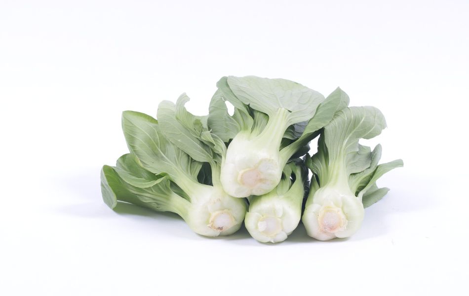 Bok Choy - Alternative to Cabbage