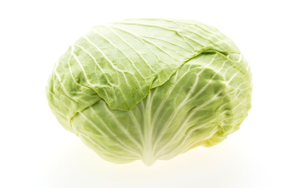 Cabbage Substitutes