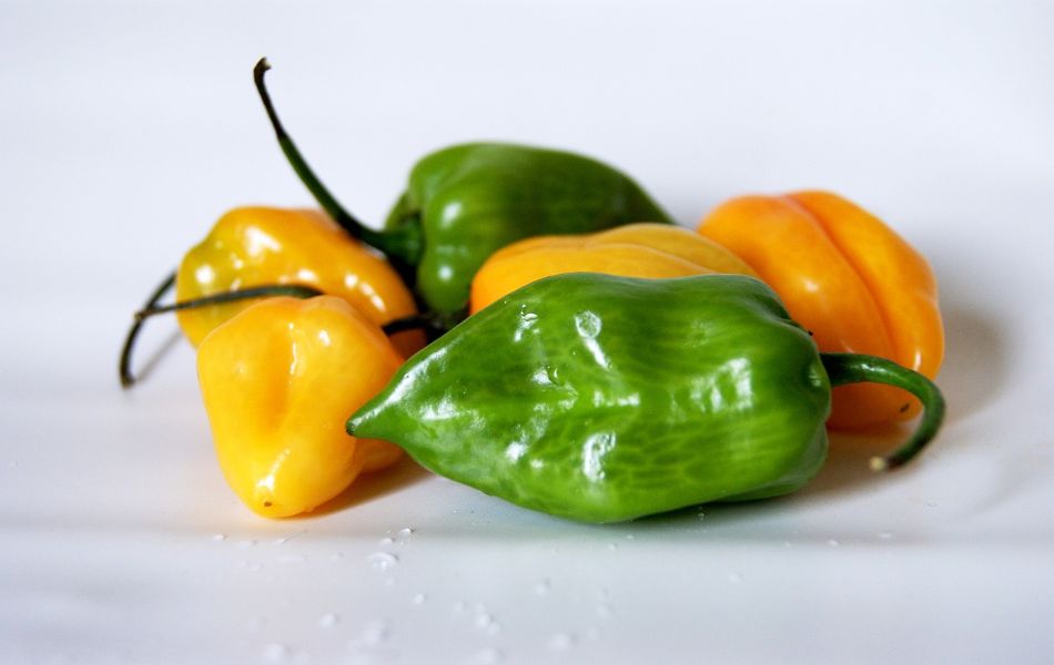 Habanero Pepper - Substitutes for Green Chilies