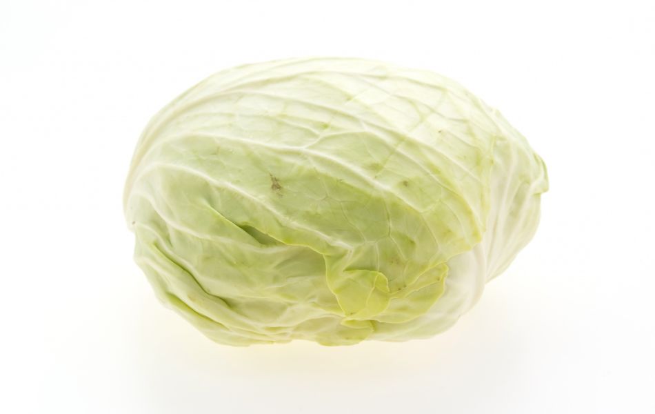 Key Considerations When Choosing Cabbage Substitutes