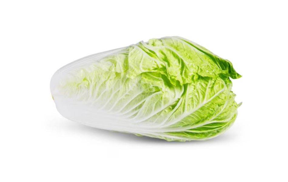 Napa Cabbage - Alternatives to Cabbage