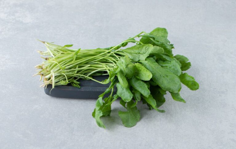 Top Watercress Substitutes