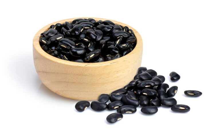 Best Substitutes for Black Beans