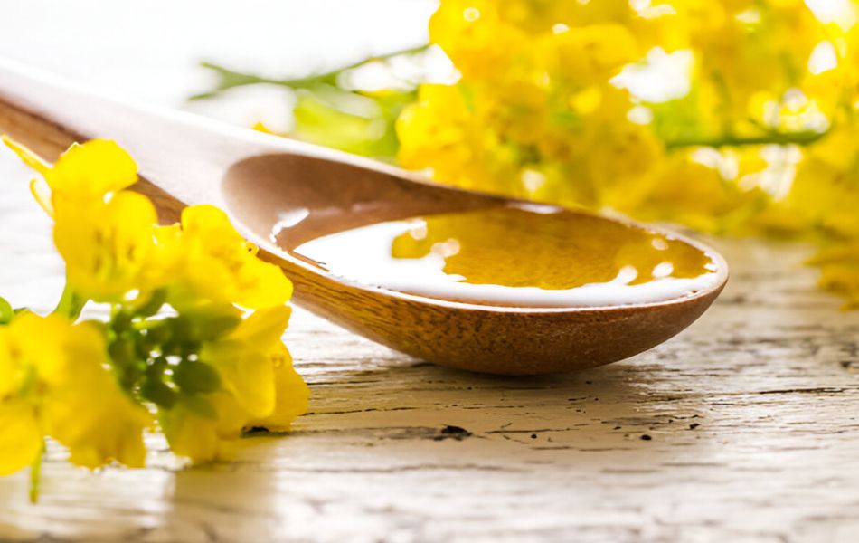 Best Substitutes for Canola Oil