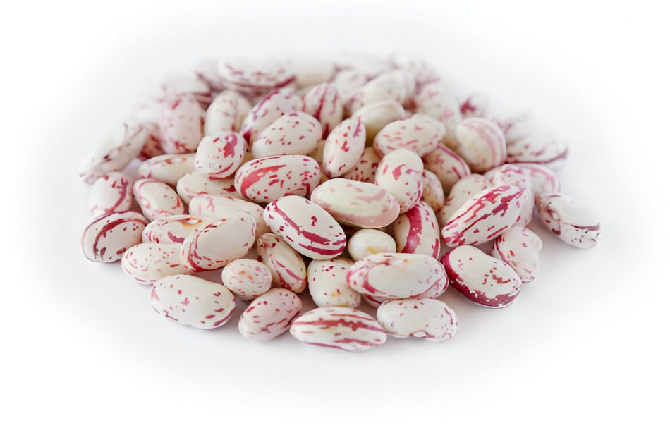 Pinto beans option as substitute for black beans