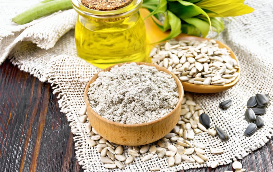 Sunflower seed flour is a substitute for almond flour