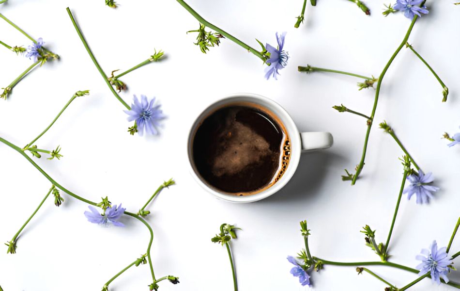 Chicory Root Coffee