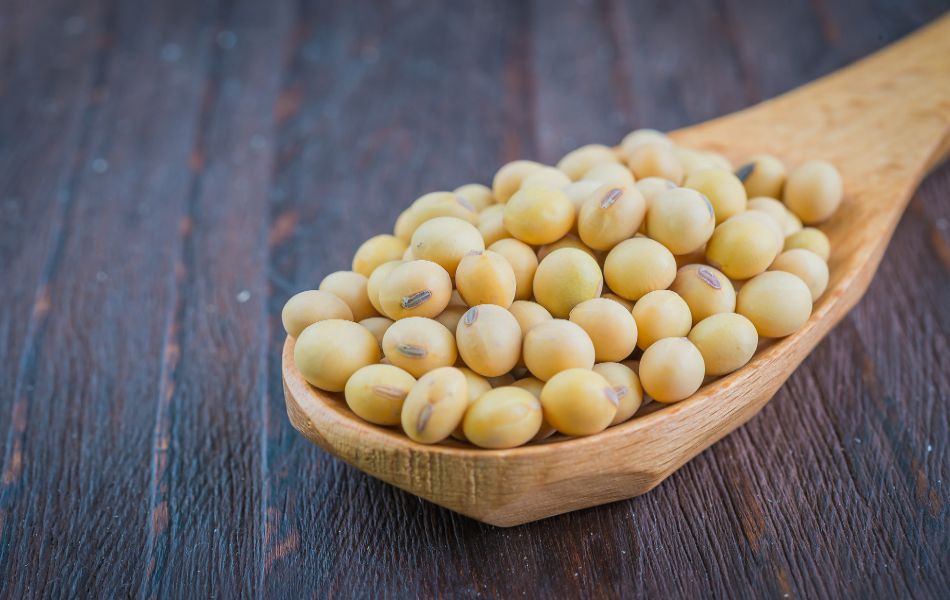 Soybeans are a fantastic choice for butter beans