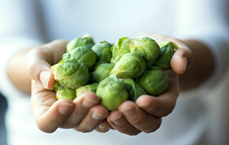 Picking the Perfect Brussels Sprouts