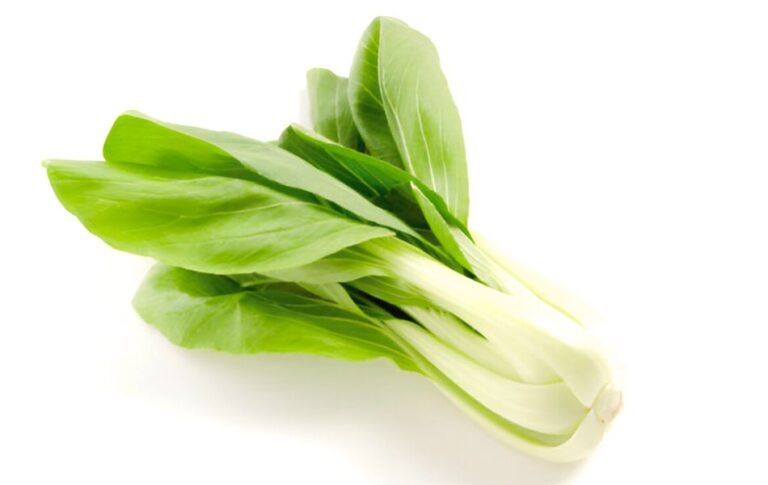 Master Bok Choy Cooking with These Essential Tips