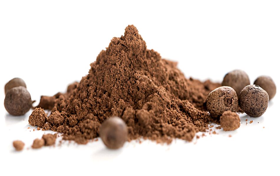 Allspice Warm and Complex substitute for Ginger