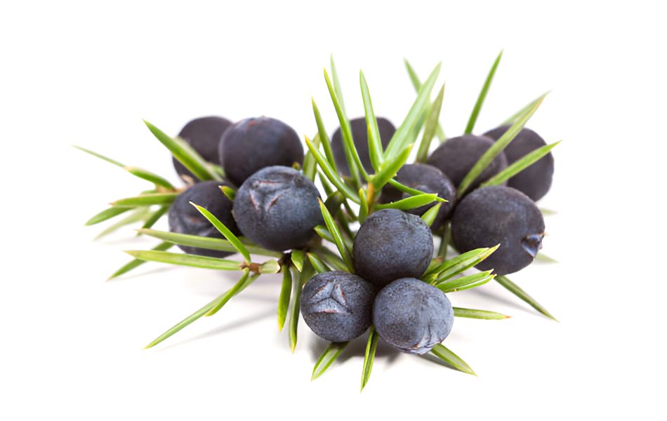 Juniper Berries The Bold, Woodsy Swap for Bay Leaf