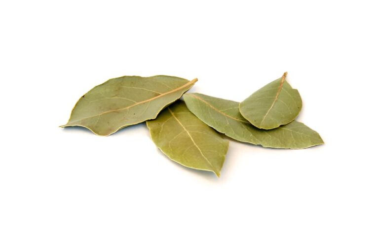 Tasty Substitutes for Bay Leaf