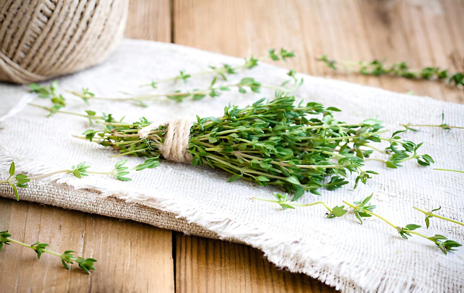 Thyme’s earthy, slightly minty flavor is another reliable substitute for Oregano