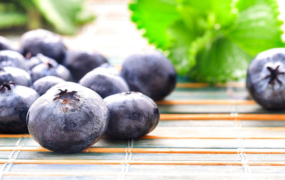 Blueberries - Support Pancreas Health