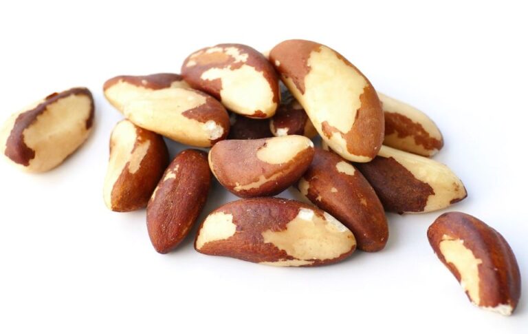 Are Brazil Nuts Healthy A Nutritious Powerhouse for Your Kitchen