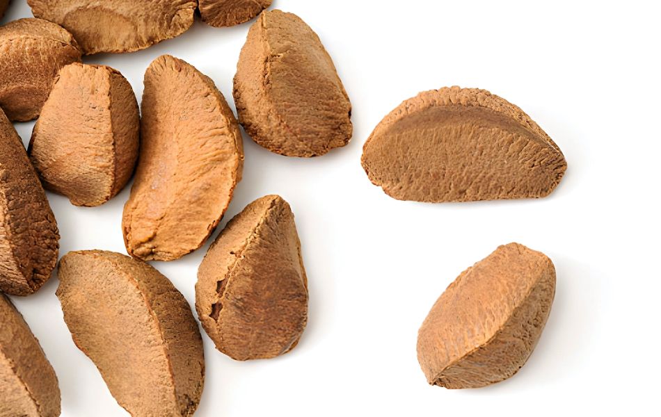 What Makes Brazil Nuts So Special