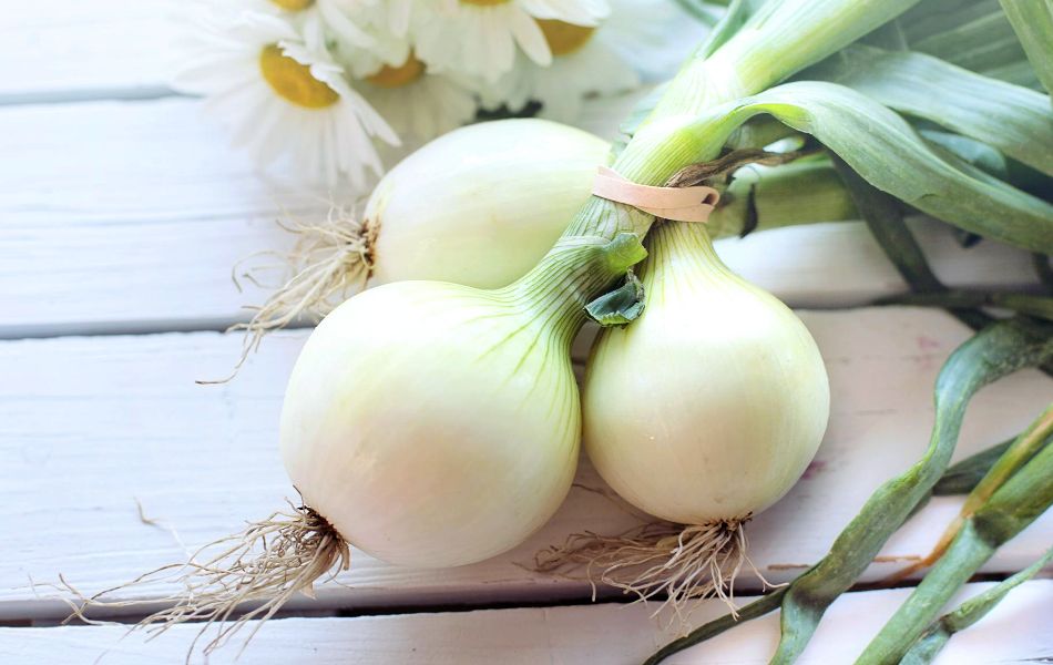 Why You Might Need an Onion Substitute