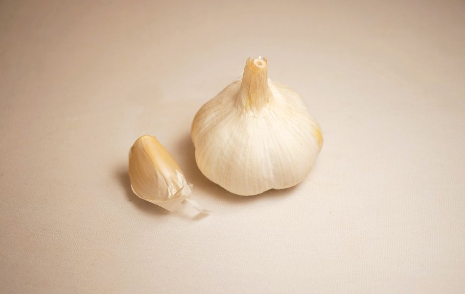 Flavorful Substitutes for Garlic You Need Now