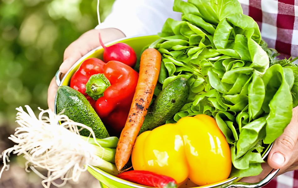 Pick the Best Vegetables - Vegetable Cooking Tips