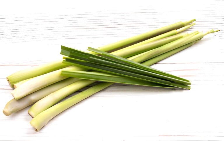 The Best Substitute for Lemongrass