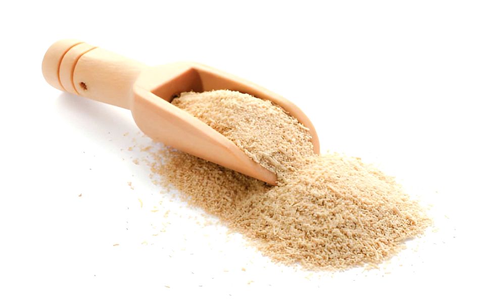 Active Dry Yeast The Closest Friend