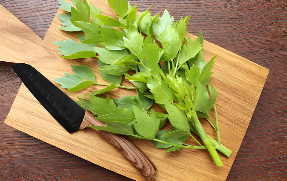 Lovage - Top Celery Seed Substitutes